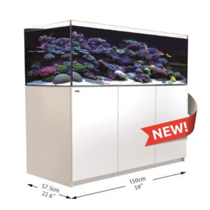 Aquariums