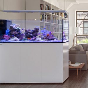 Aquariums