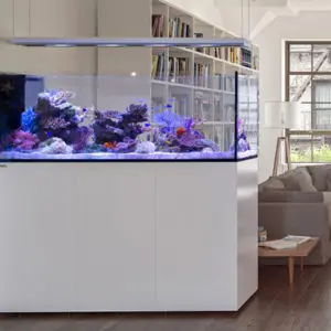 Aquariums