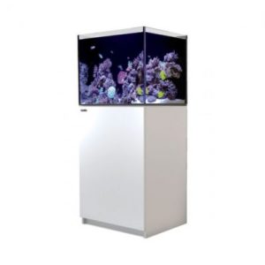 Aquariums