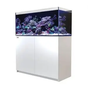 Aquariums