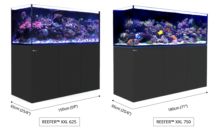 Aquariums
