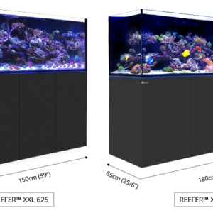 Aquariums