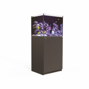 Aquariums
