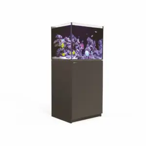 Aquariums