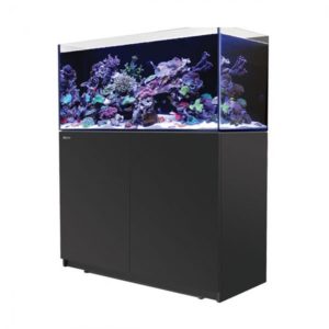 Aquariums