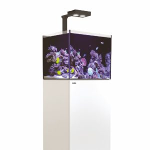 Aquariums
