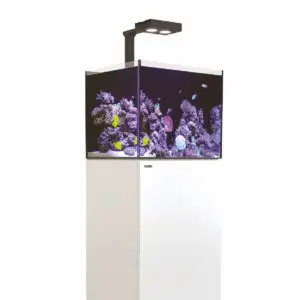 Aquariums