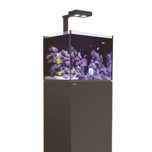 Aquariums