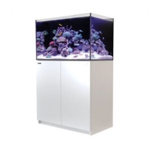 Aquariums