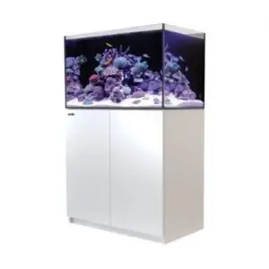 Aquariums