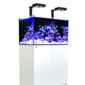 Aquariums