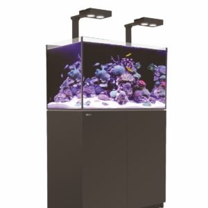 Aquariums