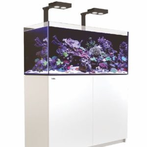 Aquariums