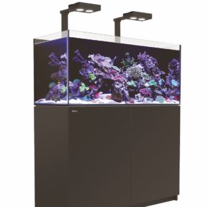 Aquariums