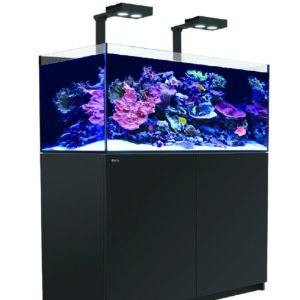 Aquariums