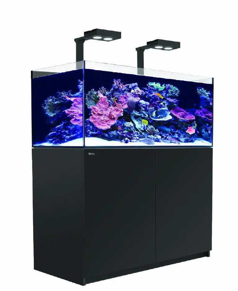 Aquariums