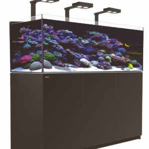 Aquariums