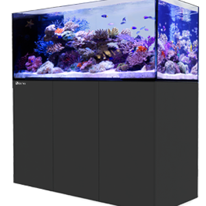 Aquariums