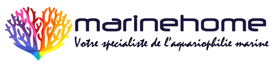 logo-hd-dark logo hd dark marinehome