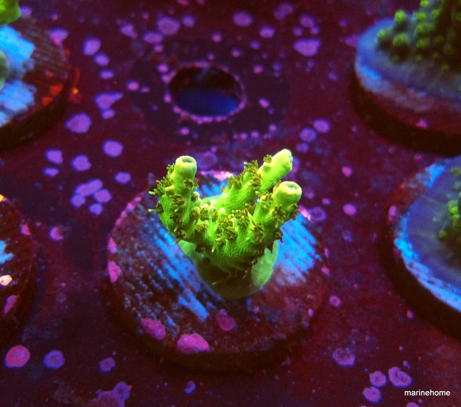 KODAK Digital Still Camera