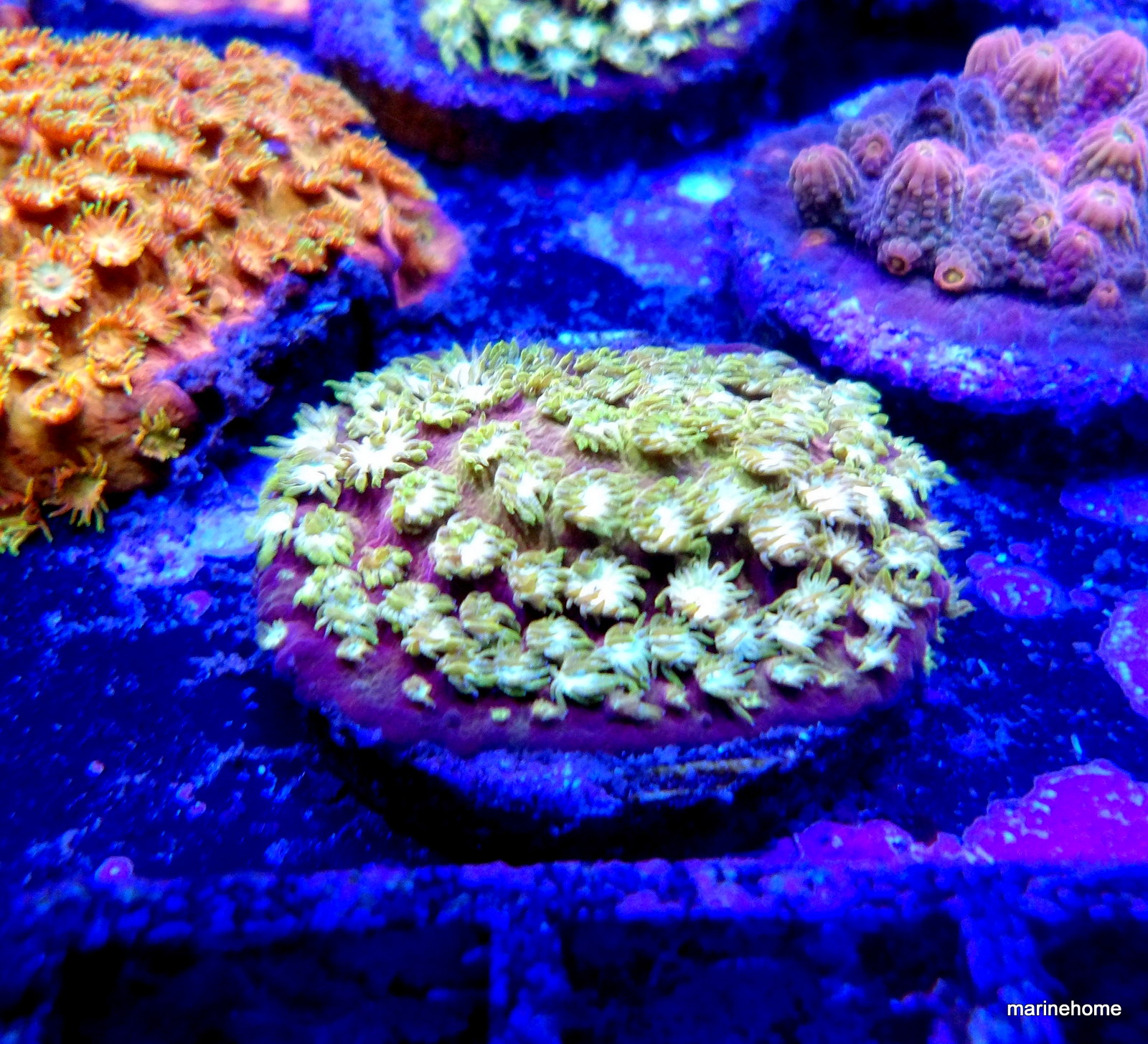 KODAK Digital Still Camera