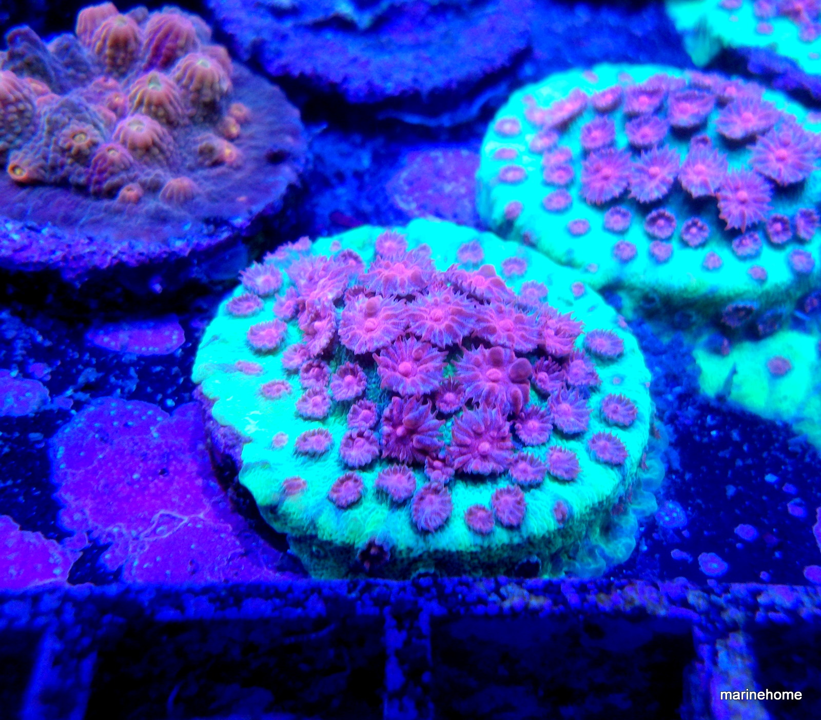 KODAK Digital Still Camera