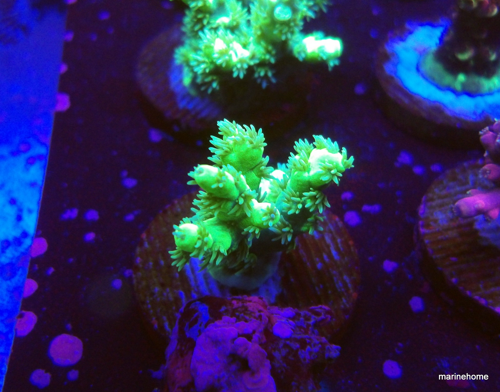 KODAK Digital Still Camera