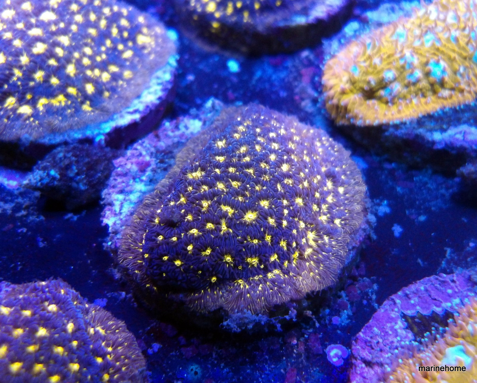 KODAK Digital Still Camera