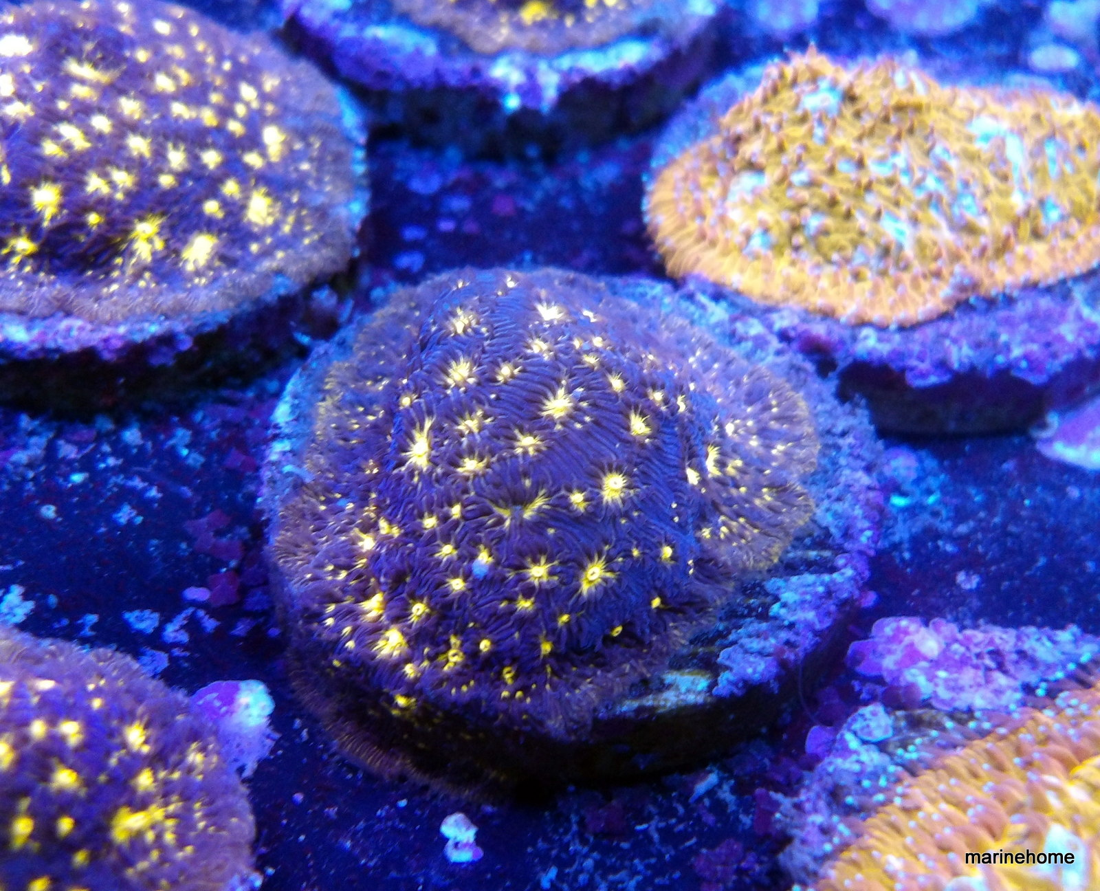 KODAK Digital Still Camera