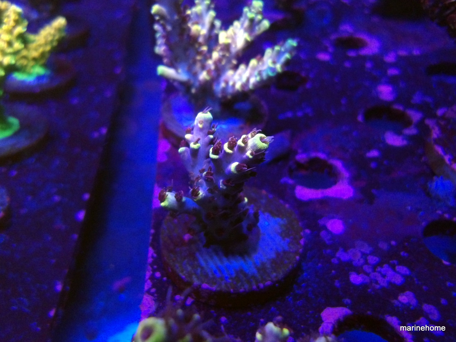 KODAK Digital Still Camera