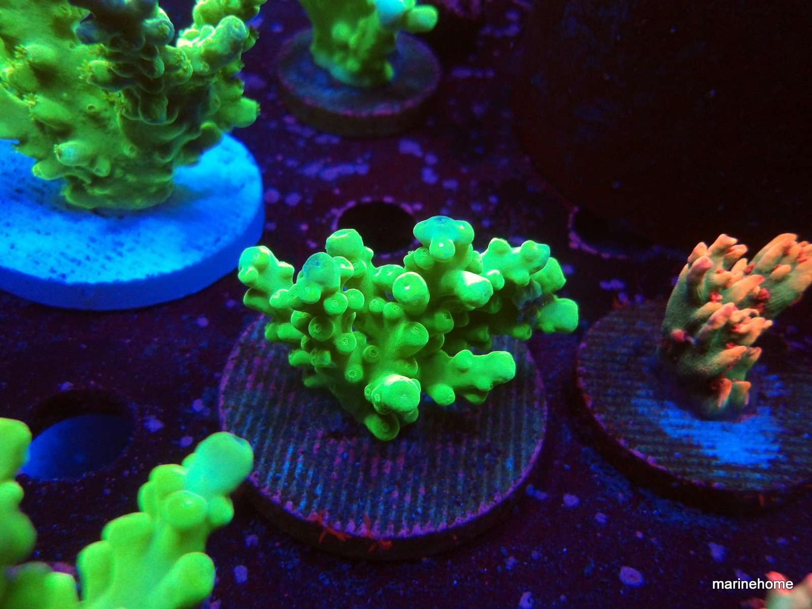 KODAK Digital Still Camera