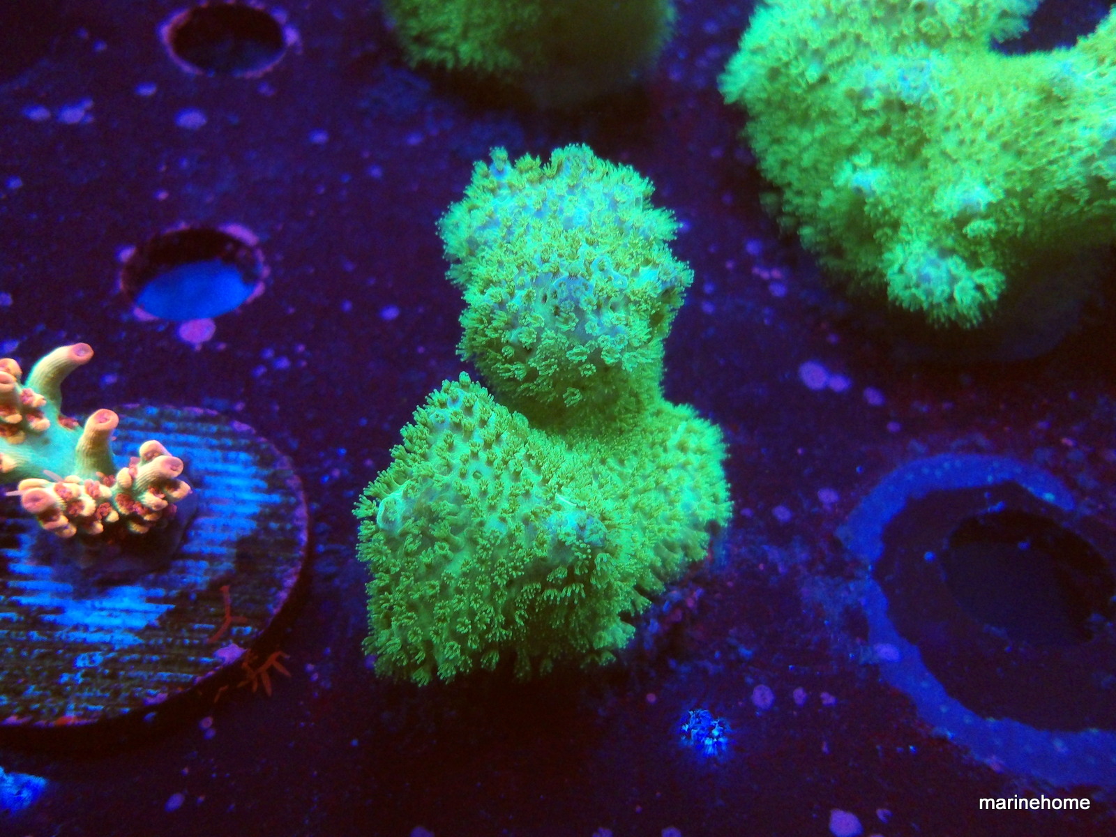 KODAK Digital Still Camera