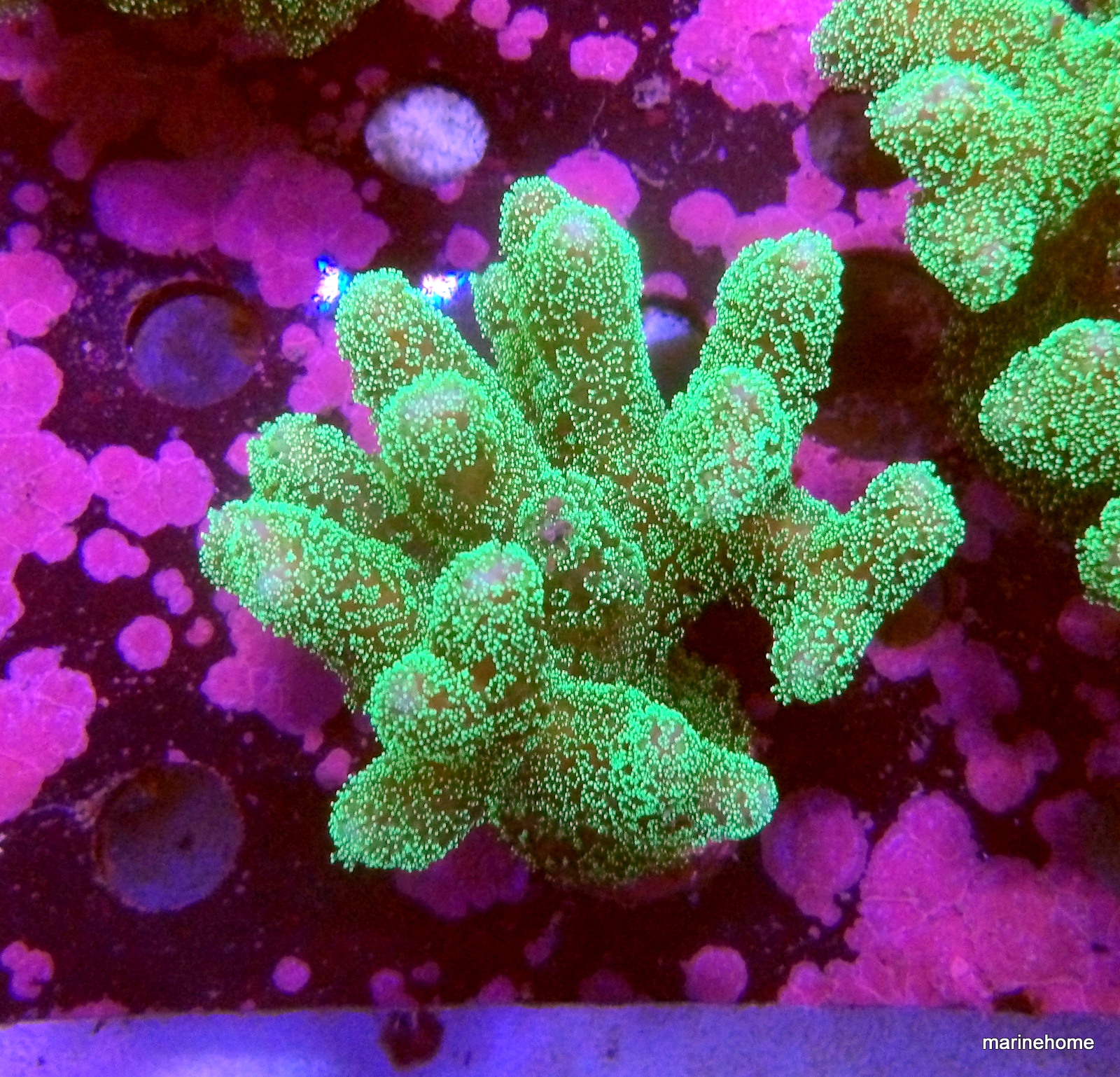 KODAK Digital Still Camera