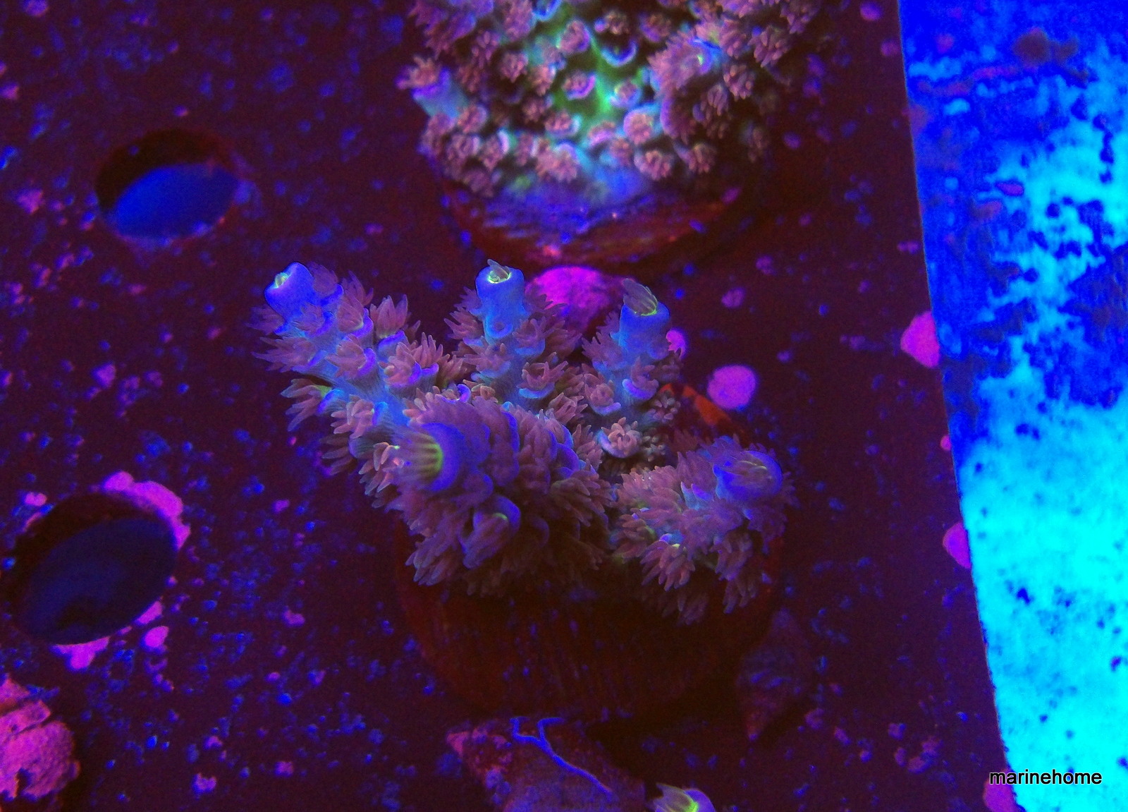 KODAK Digital Still Camera