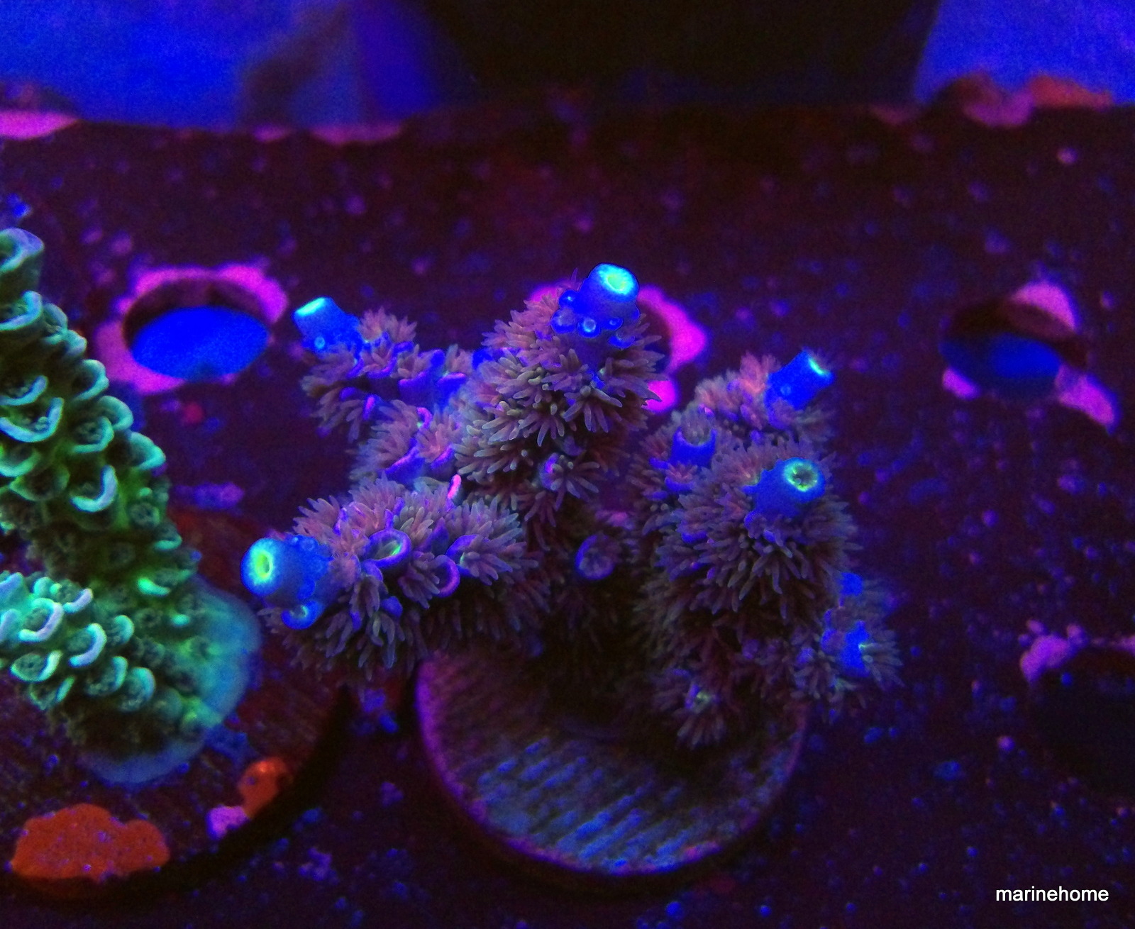 KODAK Digital Still Camera