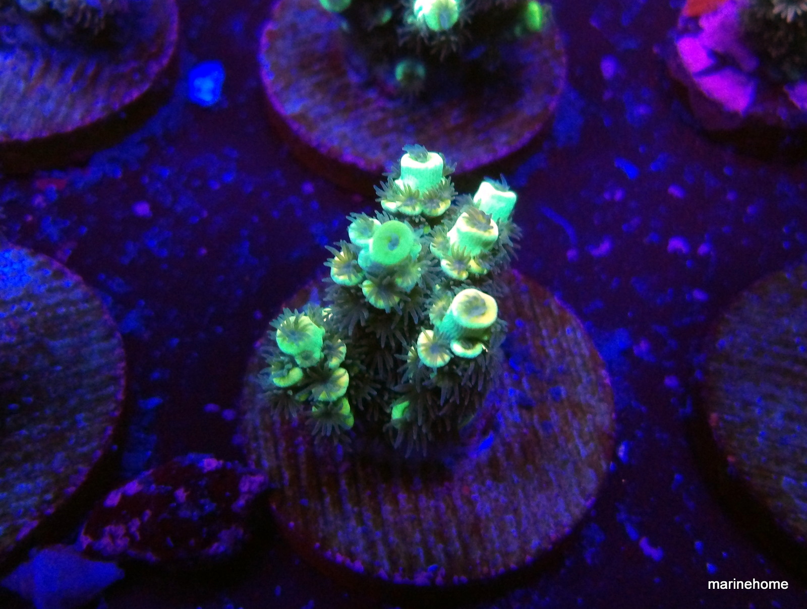 KODAK Digital Still Camera