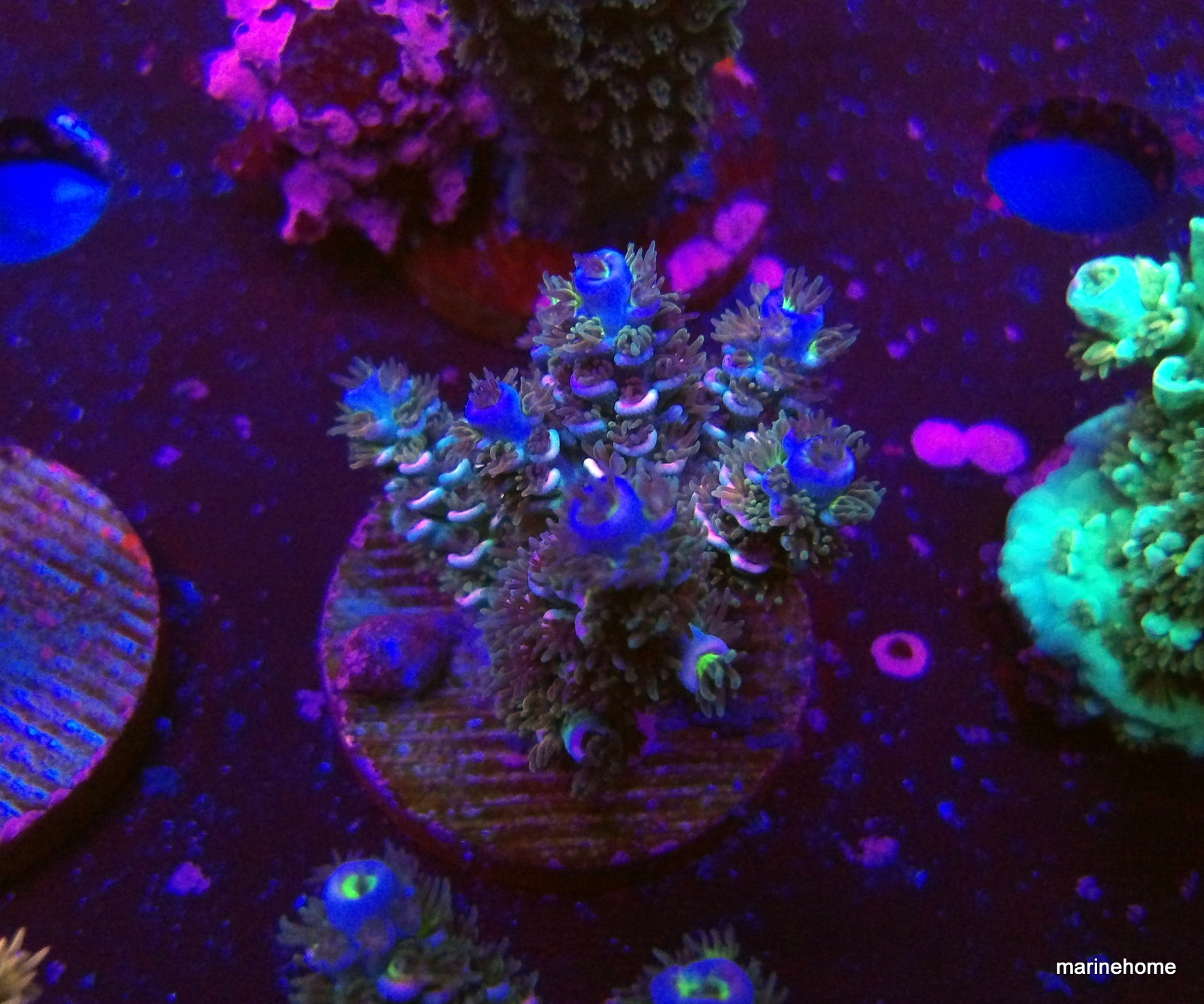 KODAK Digital Still Camera