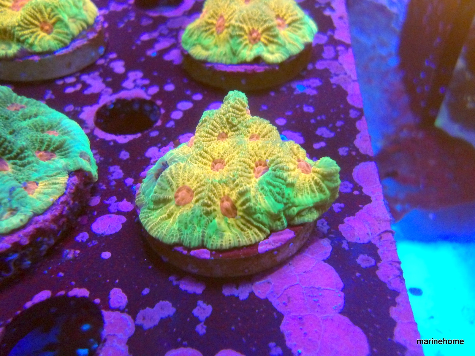 KODAK Digital Still Camera