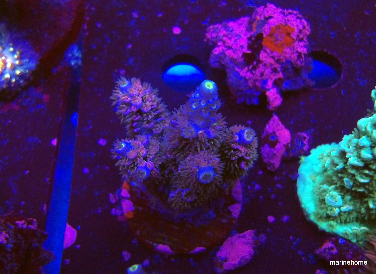 KODAK Digital Still Camera