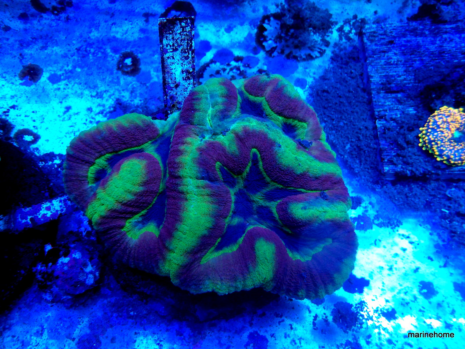 KODAK Digital Still Camera