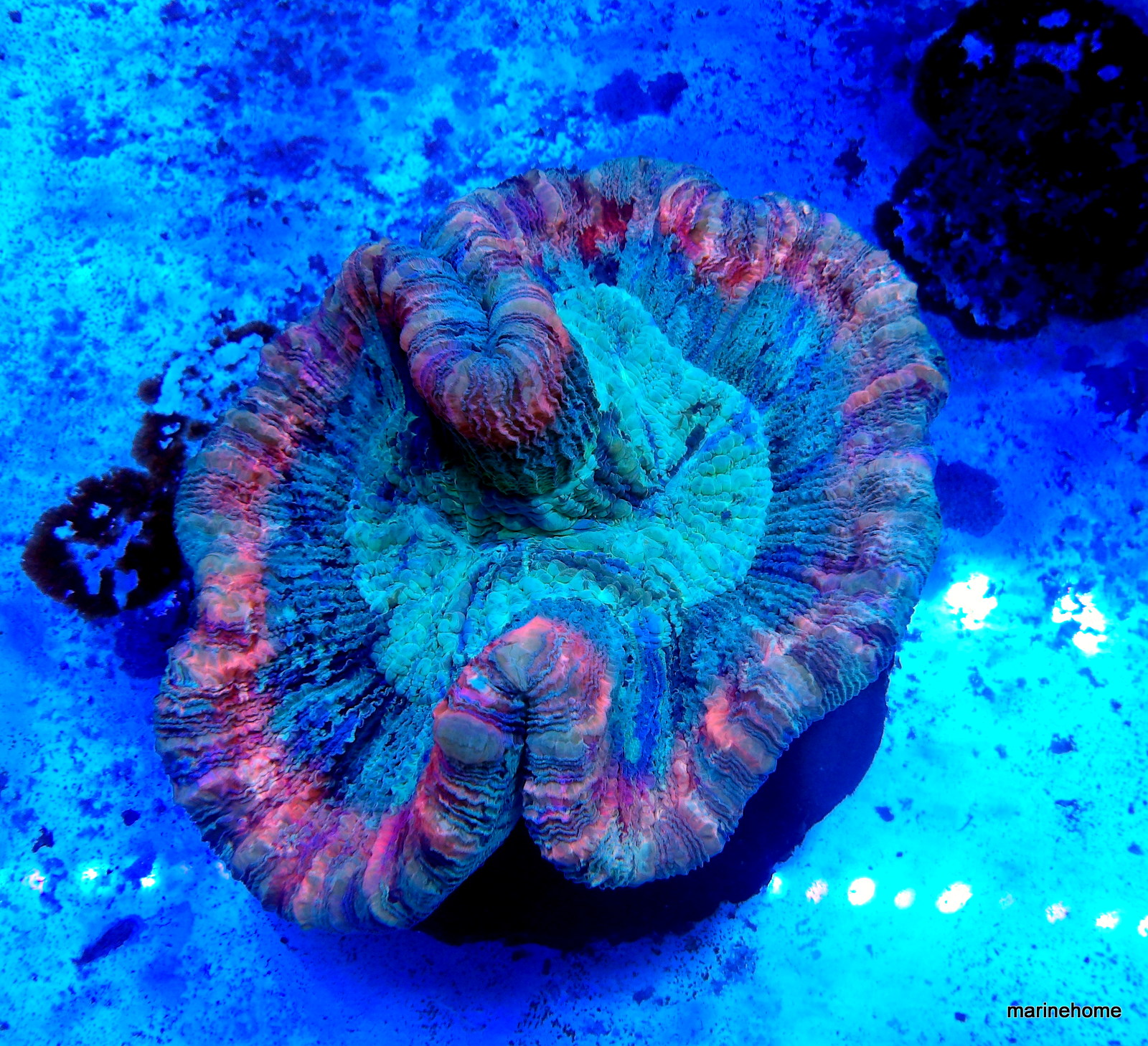 KODAK Digital Still Camera