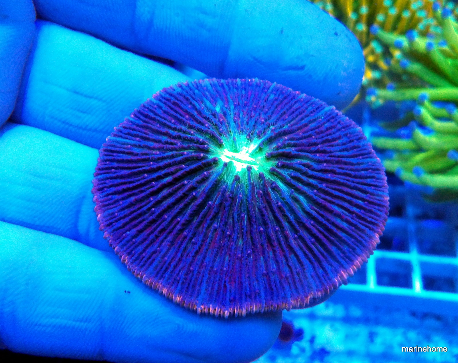 KODAK Digital Still Camera