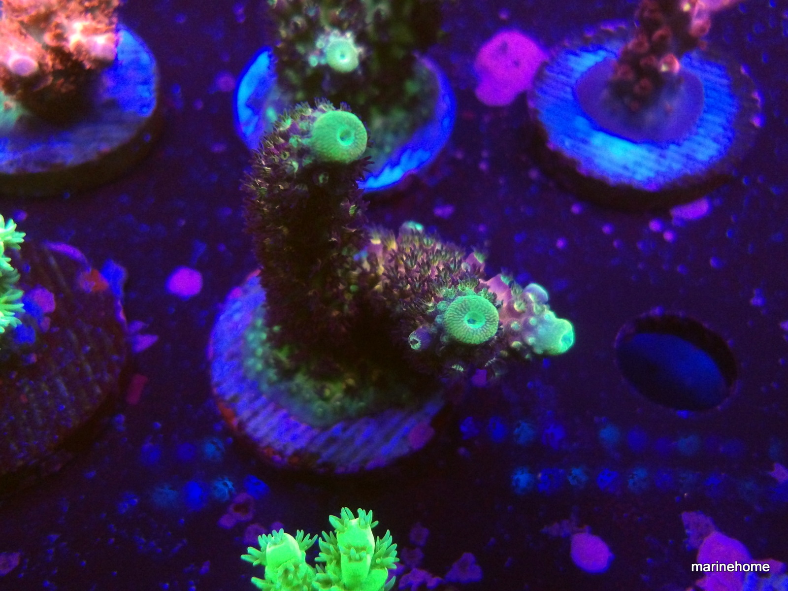 KODAK Digital Still Camera