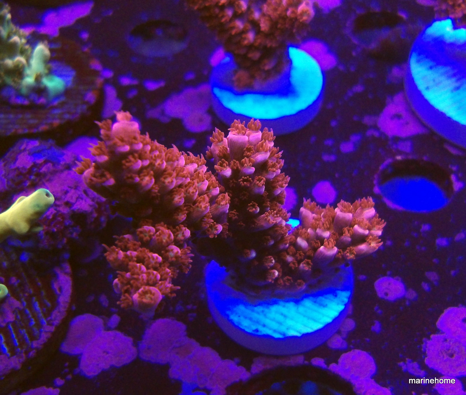 KODAK Digital Still Camera