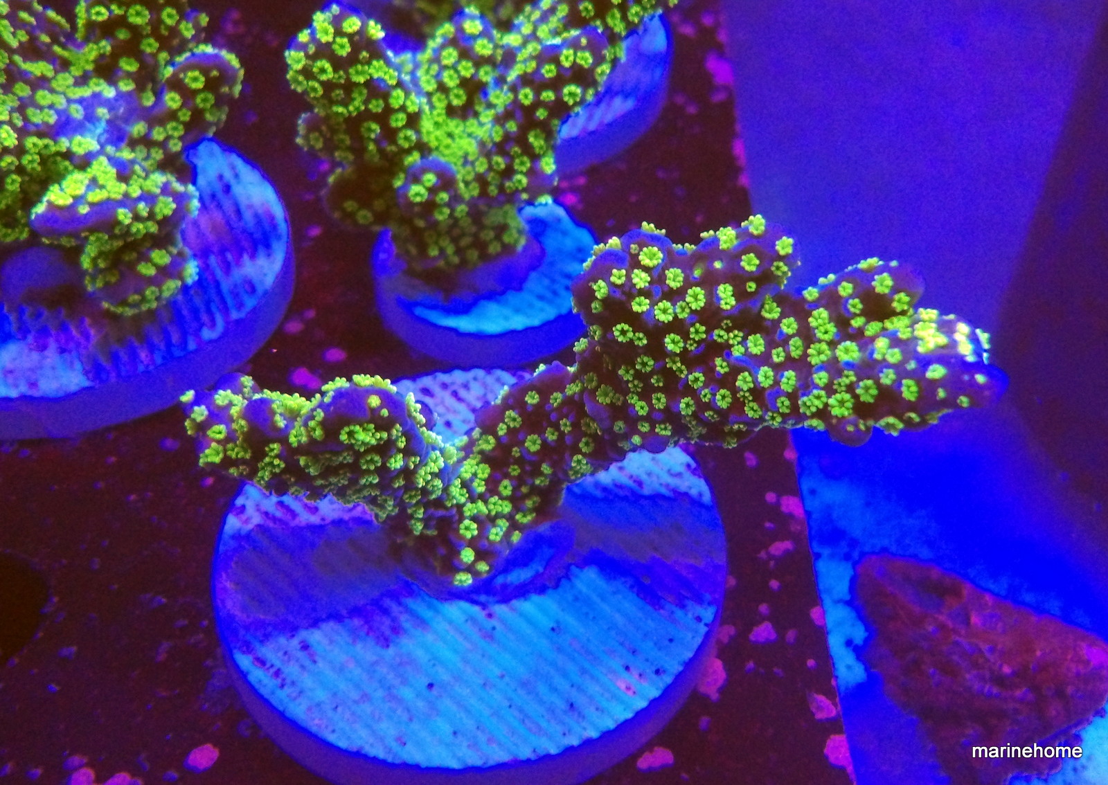 KODAK Digital Still Camera