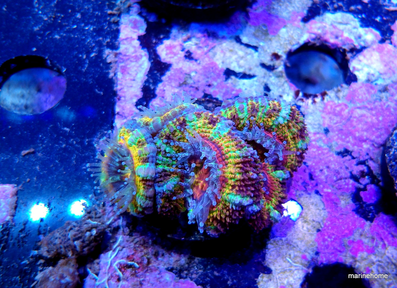 KODAK Digital Still Camera