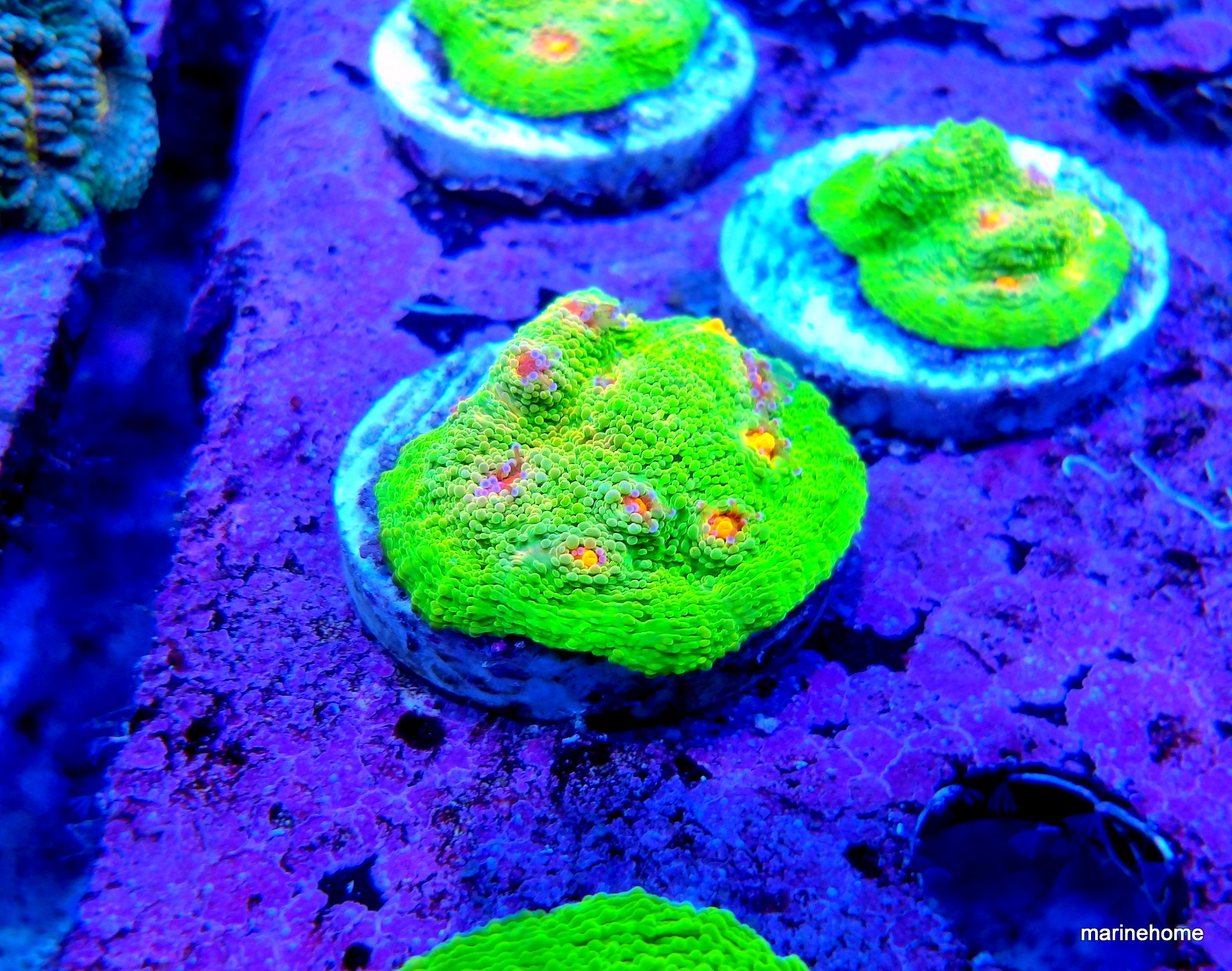 KODAK Digital Still Camera