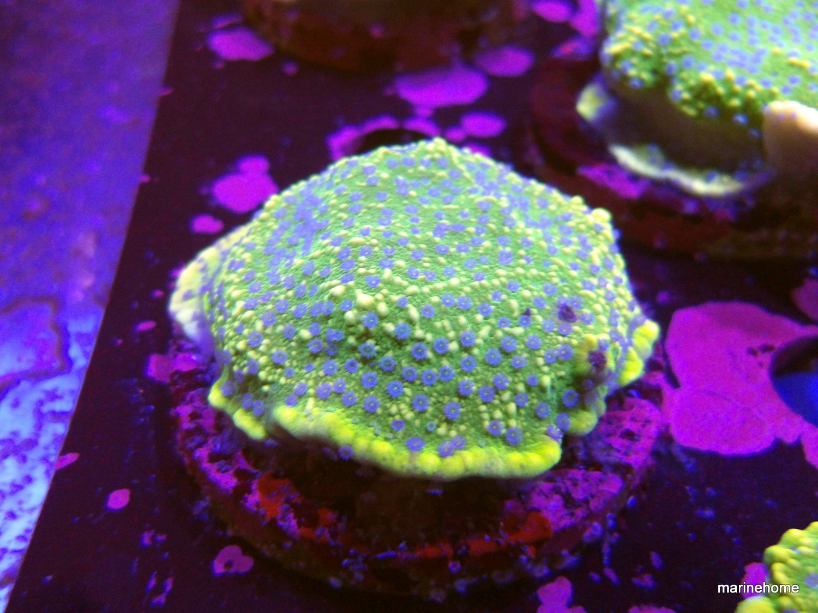 KODAK Digital Still Camera