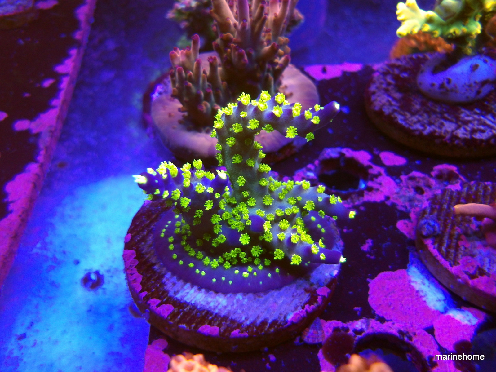 KODAK Digital Still Camera